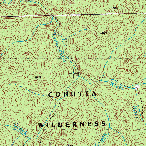 Topographic Map of Chestnut Creek, GA