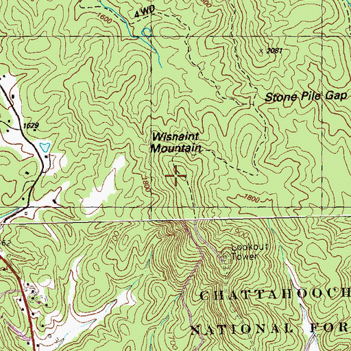 Topographic Map of Wisnaint Mountain, GA
