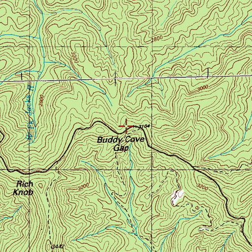 Topographic Map of Buddy Cove Gap, GA