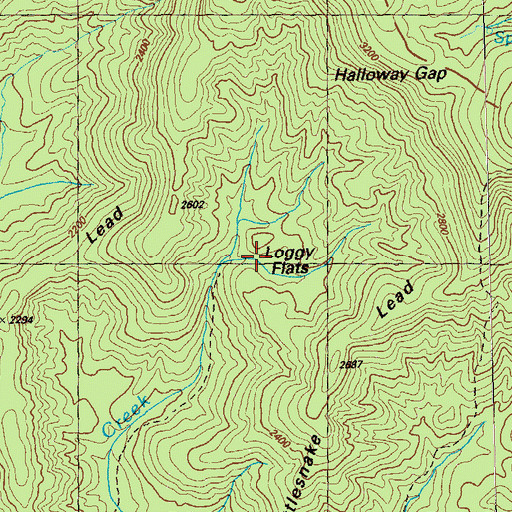 Topographic Map of Loggy Flats, GA