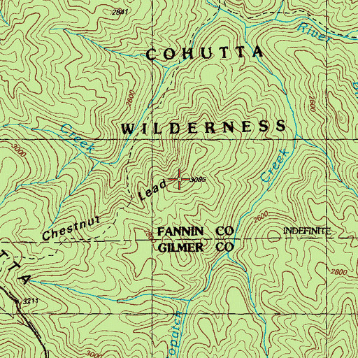 Topographic Map of Chestnut Lead, GA