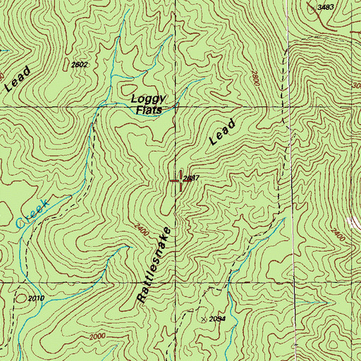 Topographic Map of Rattlesnake Lead, GA