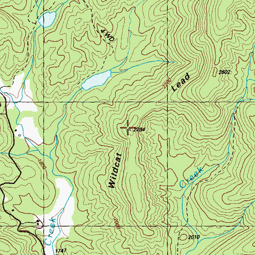 Topographic Map of Wildcat Lead, GA