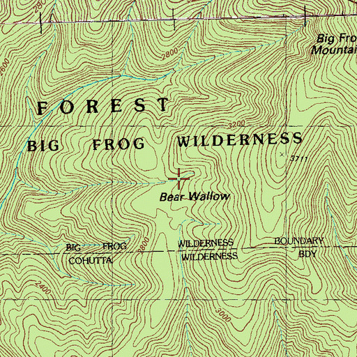 Topographic Map of Bear Wallow, TN