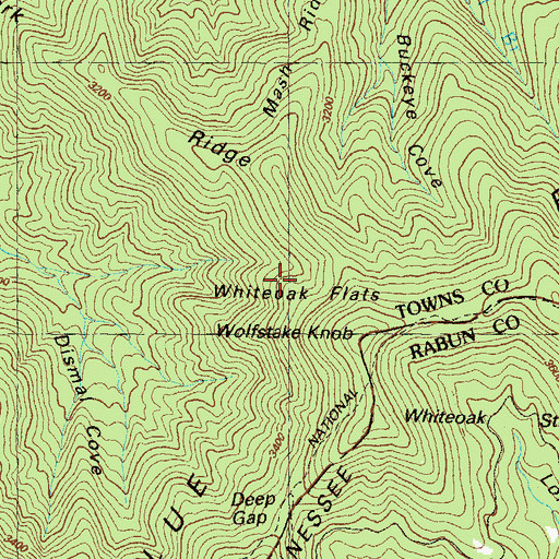 Topographic Map of Whiteoak Flats, GA