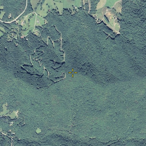 Aerial/Satellite Image of Corn Ridge, GA