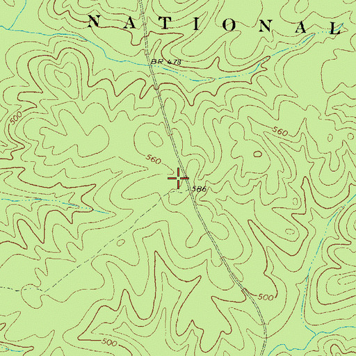 Topographic Map of Little Glady Hunt Camp, GA