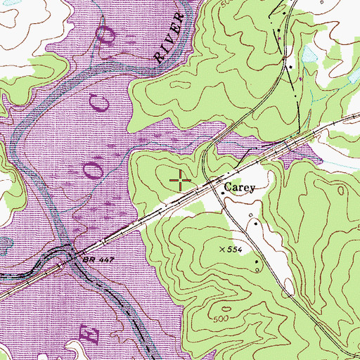 Topographic Map of Carey Station Hunt Camp, GA