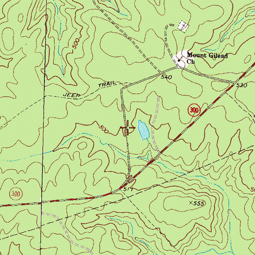 Topographic Map of Mount Coilead Hunt Camp, GA