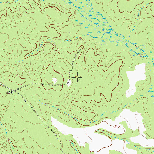 Topographic Map of Cloverfield Hunt Camp, GA