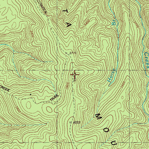 Topographic Map of East Cowpen Trail, GA