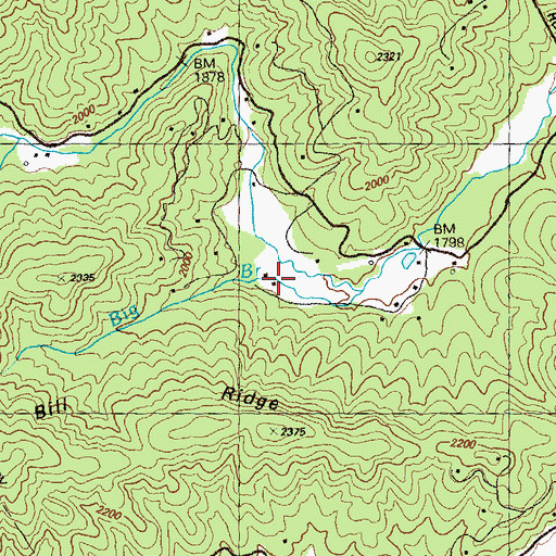 Topographic Map of Big Branch, GA