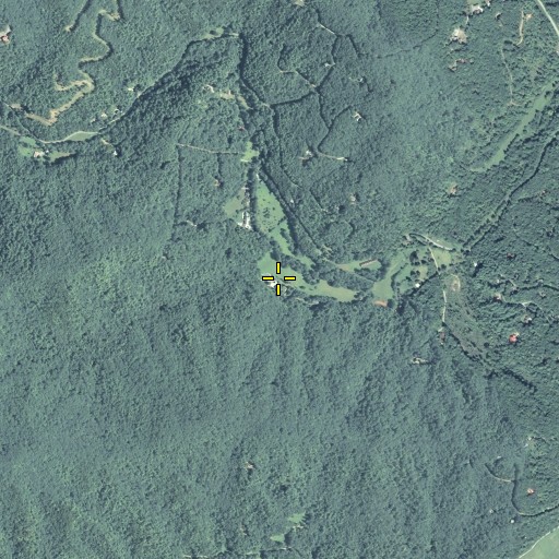 Aerial/Satellite Image of Big Branch, GA