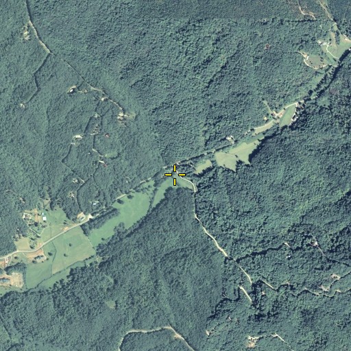 Aerial/Satellite Image of Falling Down Branch, GA