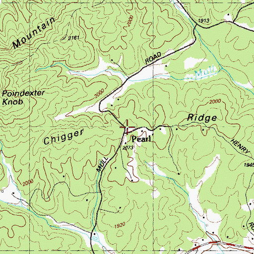 Topographic Map of Pearl, GA