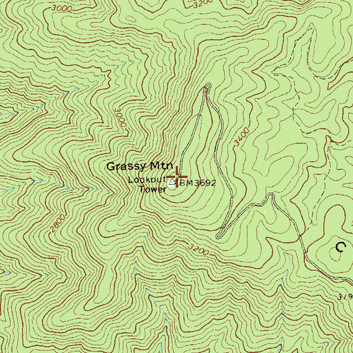 Topographic Map of Grassy Mountain Lookout, GA