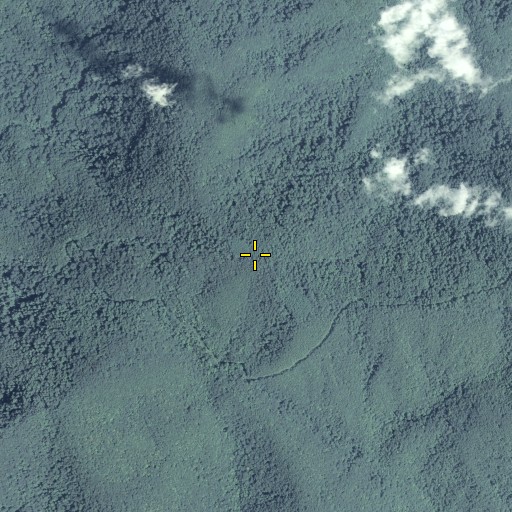 Aerial/Satellite Image of Aaron Mountain, GA