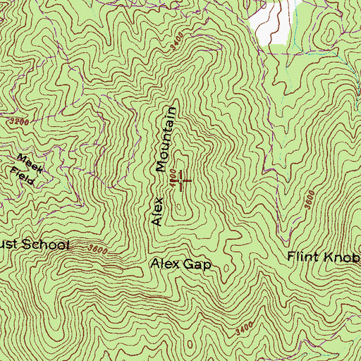 Topographic Map of Alex Mountain, GA