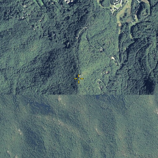 Aerial/Satellite Image of Alex Mountain, GA