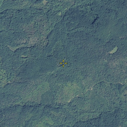 Aerial/Satellite Image of Allen Mountain, GA
