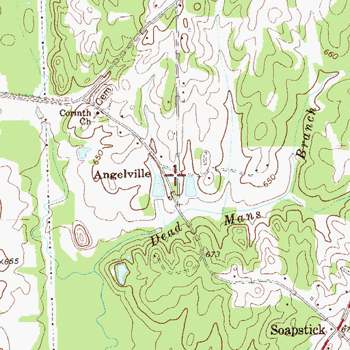 Topographic Map of Angelville, GA