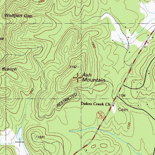 Topographic Map of Ash Mountain, GA
