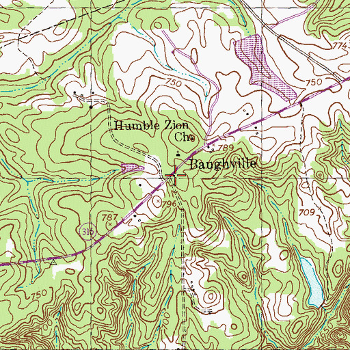Topographic Map of Baughville, GA