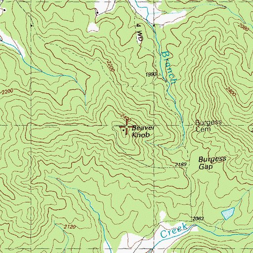 Topographic Map of Beaver Knob, GA