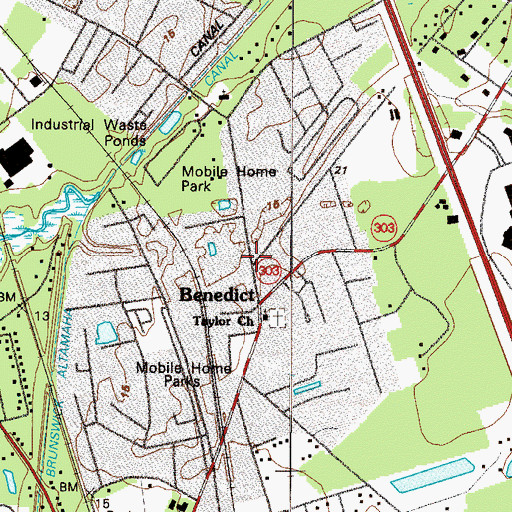 Topographic Map of Benedict, GA