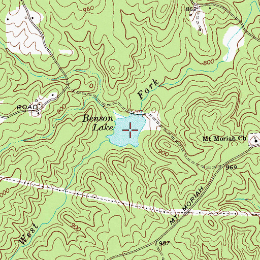 Topographic Map of Benson Lake, GA