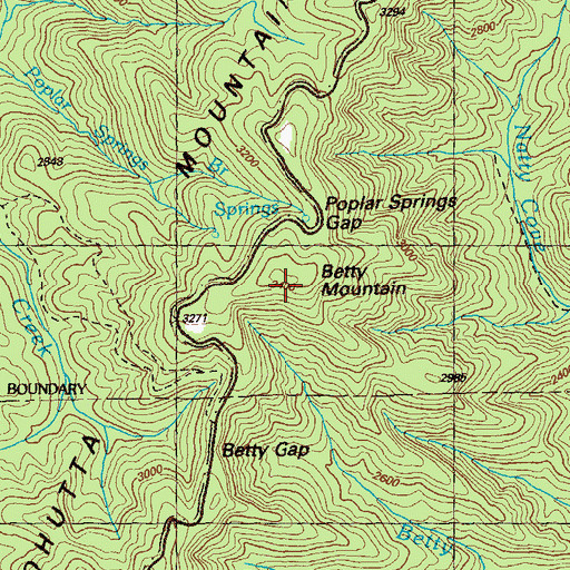 Topographic Map of Betty Mountain, GA