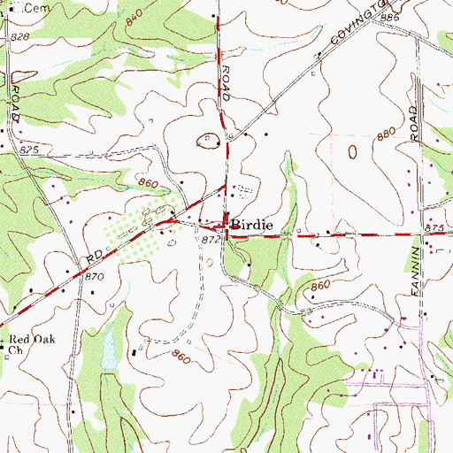 Topographic Map of Birdie, GA