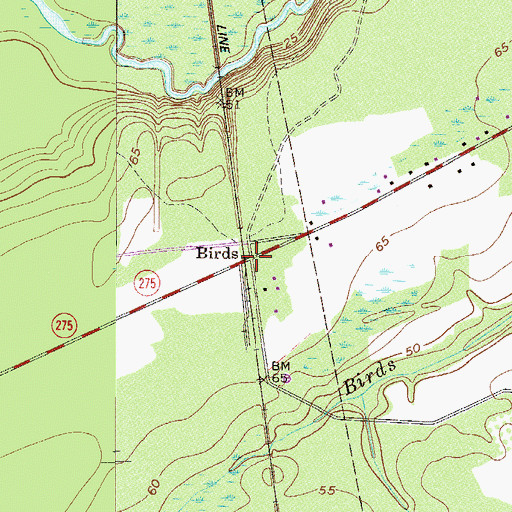 Topographic Map of Birds, GA