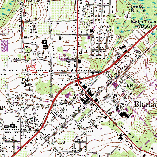 Topographic Map of Blackshear, GA