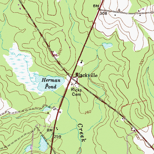 Topographic Map of Blackville, GA