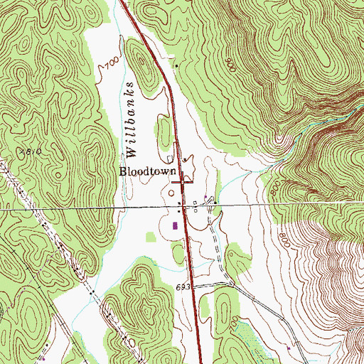 Topographic Map of Bloodtown, GA