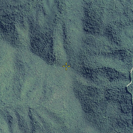 Aerial/Satellite Image of Blue Mountain, GA