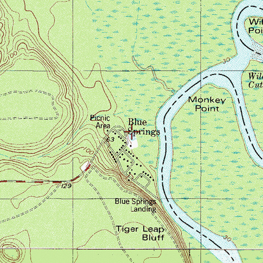 Topographic Map of Blue Springs, GA