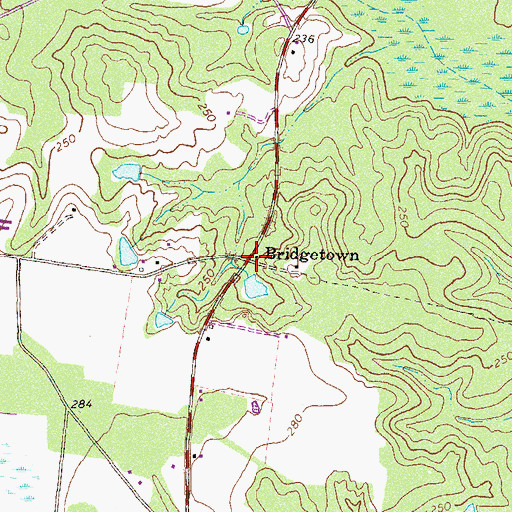 Topographic Map of Bridgetown, GA