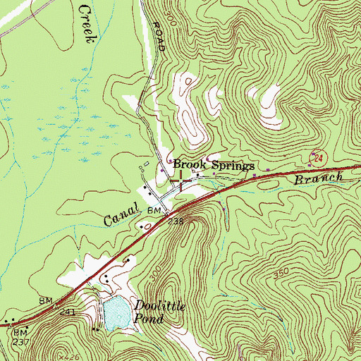 Topographic Map of Brook Springs, GA