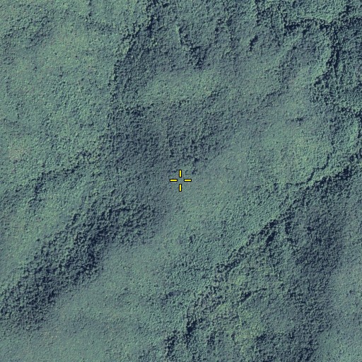 Aerial/Satellite Image of Brushy Mountain, GA