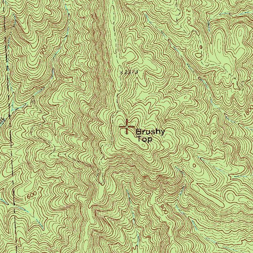 Topographic Map of Brushy Top, GA