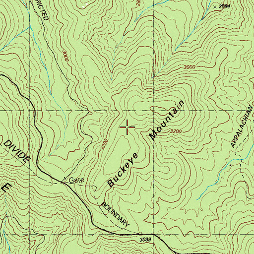 Topographic Map of Buckeye Mountain, GA
