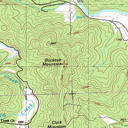 Topographic Map of Buckeye Mountain, GA