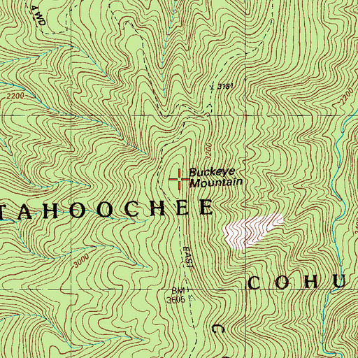 Topographic Map of Buckeye Mountain, GA