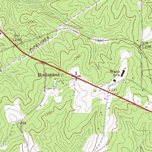 Topographic Map of Budapest, GA