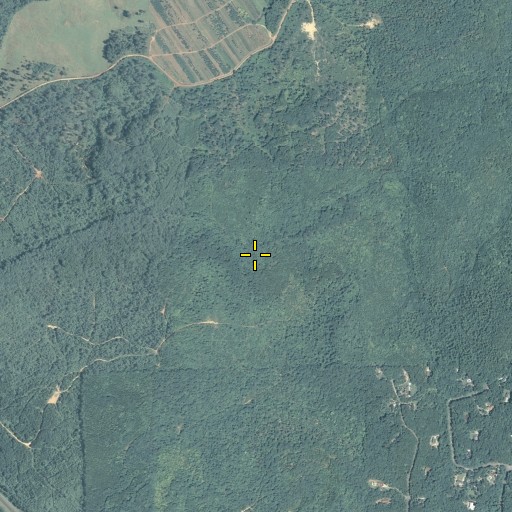 Aerial/Satellite Image of Bufford Mountain, GA