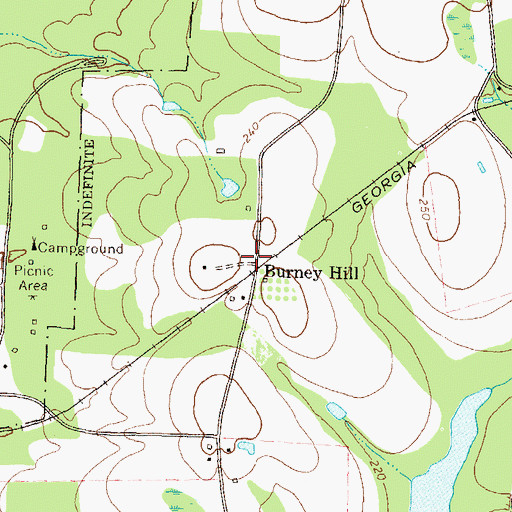 Topographic Map of Burney Hill, GA