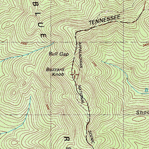 Topographic Map of Buzzard Knob, GA