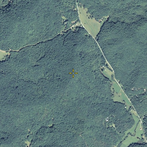 Aerial/Satellite Image of Buzzard Rock Mountain, GA